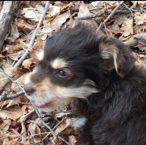 Meet your Posher, Nevaeh